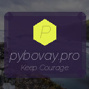 pybovay.pro