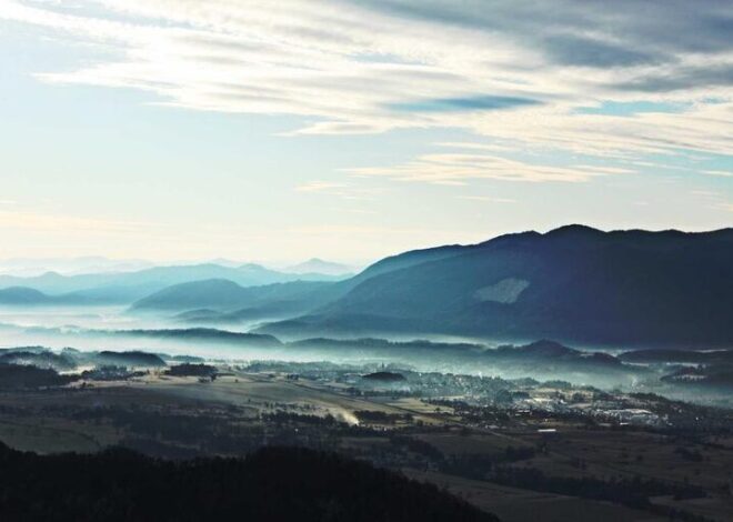 10 Mindful Breaks You Can Take in Five Minutes